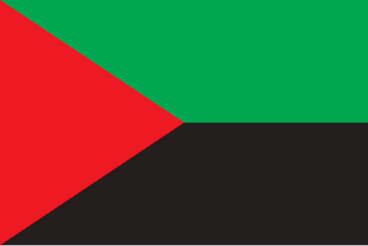 Martinique Web sdr avatar