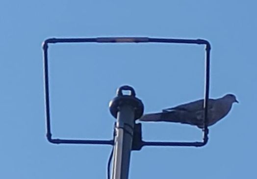 Raspberry Pi 4 | 3.5mtr: squalo op +/- 10 meter horizontaal | 70cm: opendipool op +/- 9 meter horizontaal avatar